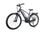 Hybrid E-Bikes – M18 Cruise Elite Special