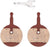 Frictive FR250R Resin Pads (for Avid BB5)
