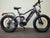BUZZ BIKE FOREST HUNTER 24"X 4 " WHEEL