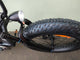 BUZZ BIKE FOREST HUNTER 24"X 4 " WHEEL