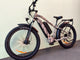 BUZZ BIKE TT DOUBLE BATTERY DELUXE 26" X 4 " CAMO