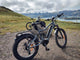 BUZZ BIKE FOREST MULLETT 27.5" FRONT & 24" X 4 " REAR
