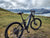 BUZZ BIKE-MTB M600 19"