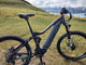 BUZZ BIKE-MTB M600 17"