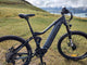 BUZZ BIKE-MTB M600 19"