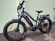 BUZZ BIKE MULE 24 X 4 STEP THOUGH (Hobbit Size)