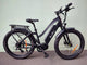 BUZZ BIKE MULE 27.5 X 3 STEP THOUGH