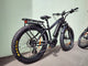 BUZZ BIKE MULE 26 X 4 MAXXIS FAT
