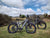 BUZZ BIKE MULE 24 X 4 STEP THOUGH (Hobbit Size)