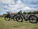 BUZZ BIKE MULE 24 X 4 STEP THOUGH (Hobbit Size)