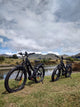 BUZZ BIKE MULE 27.5 X 3 STEP THOUGH