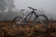 22 ALPINE TRAIL CARBON 2 SM