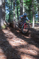 22 ALPINE TRAIL XR