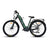 WATT WHEELS E-BIG HORN  LOW STEP  MID DRIVE (2023 )