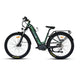 WATT WHEELS E-BIG HORN  LOW STEP  MID DRIVE (2023 )