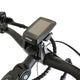 WATT WHEELS E-BIG HORN  LOW STEP  MID DRIVE (2023 )