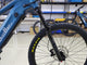 BUZZ BIKE ENDURO 29"