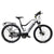 WATT WHEELS E-BIG HORN CROSS BAR MID DRIVE