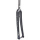 Ritchey WCS Adventure Gravel Fork