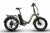 WATT WHEELS  SCOUT LOW STEP