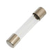 Glass Fuses - 20 & 30amp