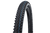 Schwalbe Tyre Racing Ray