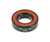 Enduro Max Radial Bearing 3800 10 x 19 x 8