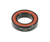 Enduro Max Radial Bearing 3800 10 x 19 x 8