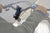 Redshift Shockstop Suspension Stem 1 1/4" 6°
