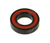 Enduro Max Radial Bearing 3800 10 x 19 x 8