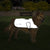 Proviz Reflect360 Dog Jacket