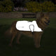 Proviz Reflect360 Dog Jacket