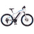 NCM Moscow M3 Electric Mountain Bike, E-Bike, 300W, E-MTB, 48V 12Ah, 576Wh Battery