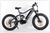BUZZ BIKE FOREST HUNTER 24"X 4 " WHEEL