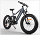 BUZZ BIKE FOREST HUNTER 24"X 4 " WHEEL