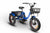 WATT WHEELS E-TRIKE LS XT MID DRIVE ETA Sept 2024